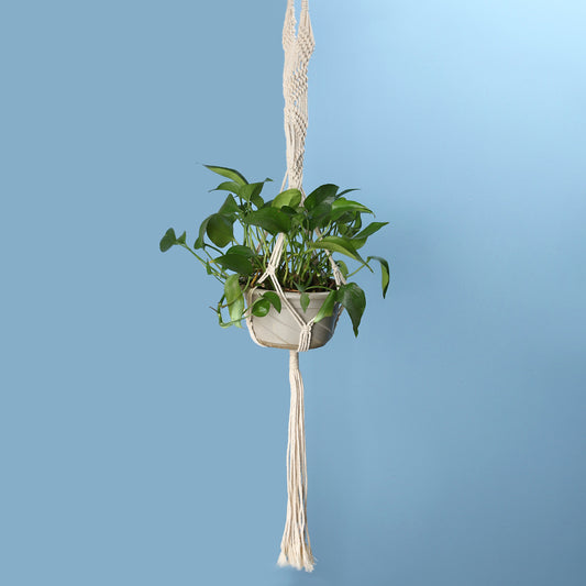 Vintage Knotted Plant Hanger